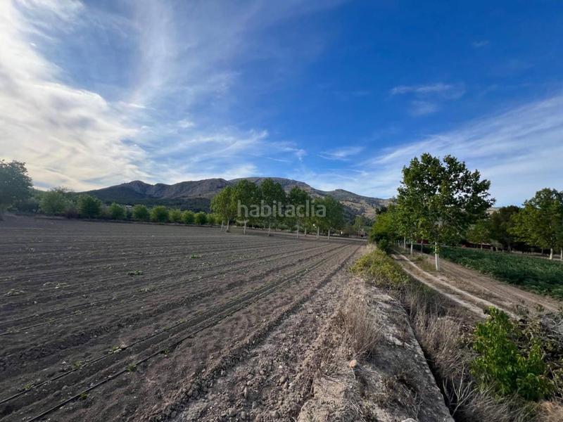 Foto 025c5923-bfd1-4fb5-a010-d396be88aa85. Finca rústica venta de terreno en Castalla