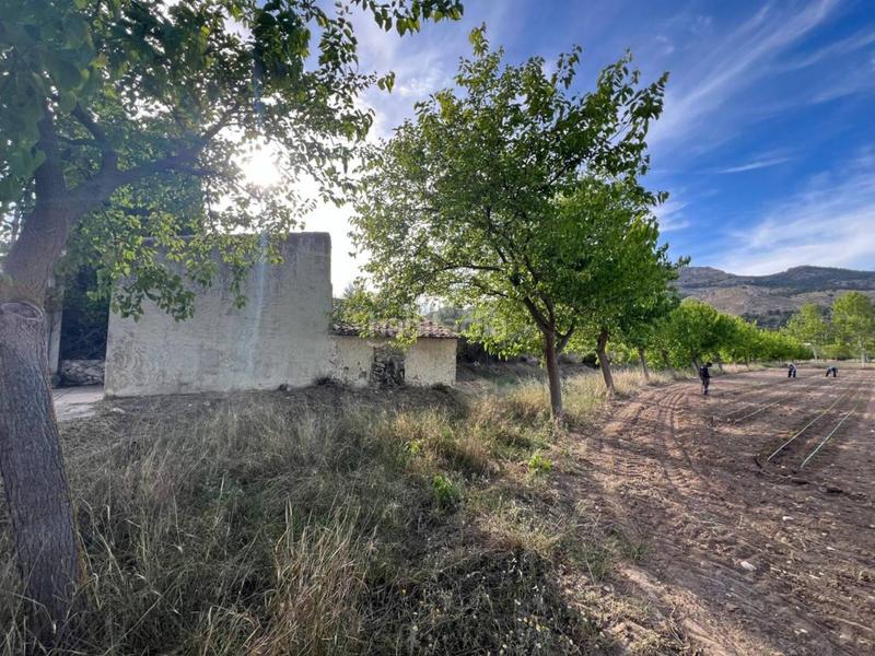 Foto 0a8c6faa-8a1e-410a-bb9c-3db1b97d8b49. Finca rústica venta de terreno en Castalla