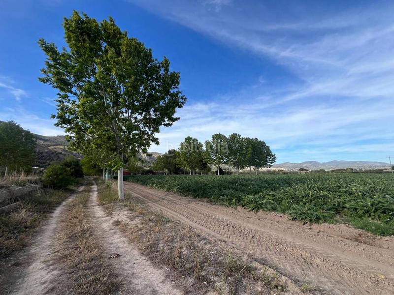 Foto 2af0b2aa-1ac4-403f-a4cf-b53a3fe0ec57. Finca rústica venta de terreno en Castalla