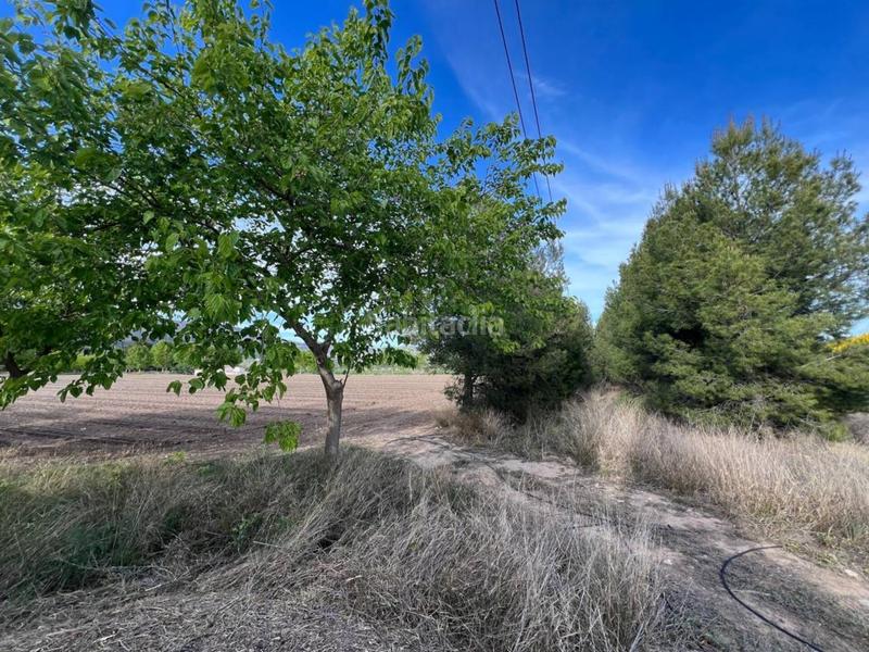 Foto 89ed17ac-4c1a-415b-b7f3-c97aece7d675. Finca rústica venta de terreno en Castalla