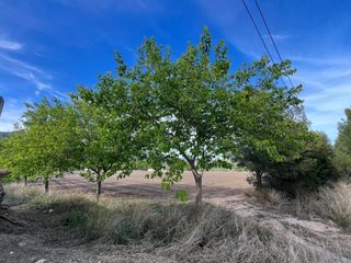 Finca rústica a Castalla