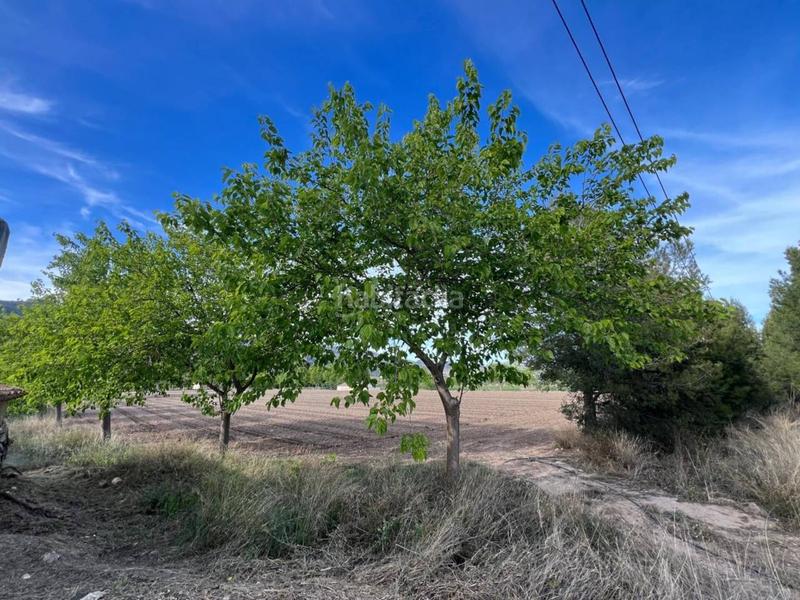 Foto bae48a0d-f1d2-4da3-9fe3-94b1ebb41c07. Finca rústica venta de terreno en Castalla