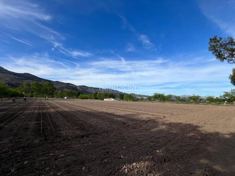 Foto e9282eba-07f8-4154-8e07-a2f523d01b6f. Finca rústica venta de terreno en Castalla