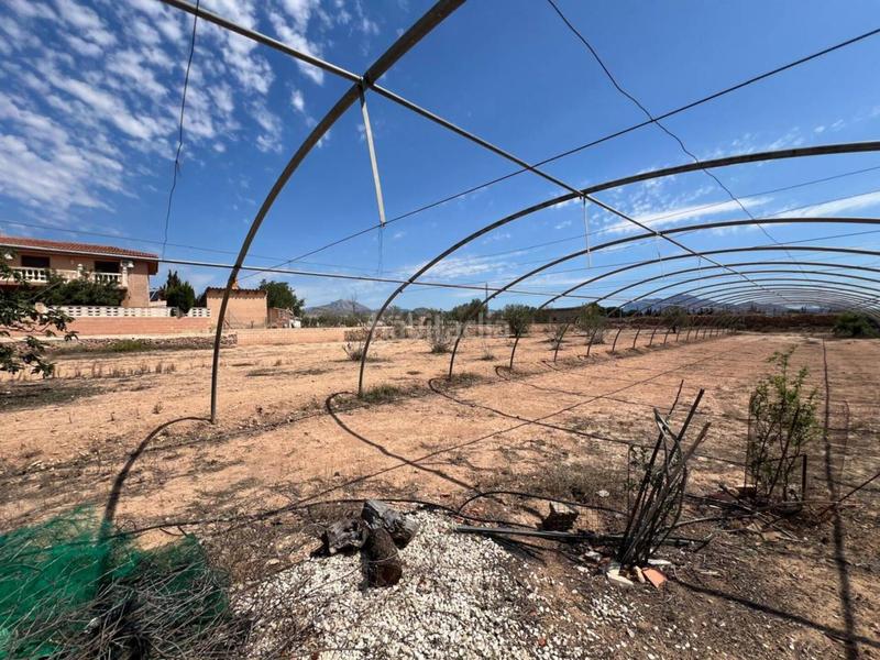 Foto 626af8bf-d8f7-49a5-b92a-4e4e0c271431. Maison avec parking piscine dans Villamontes-Boqueres Sant Vicent del Raspeig
