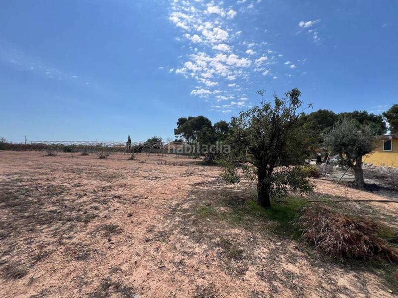 Foto 64705344-aa6b-47fe-b4ed-9ef363d26e13. Maison avec parking piscine dans Villamontes-Boqueres Sant Vicent del Raspeig