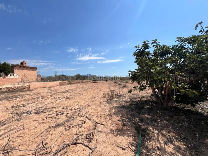 Foto 9bd5d0ca-5519-45ca-952a-6bc02cdfcdb0. Maison avec parking piscine dans Villamontes-Boqueres Sant Vicent del Raspeig
