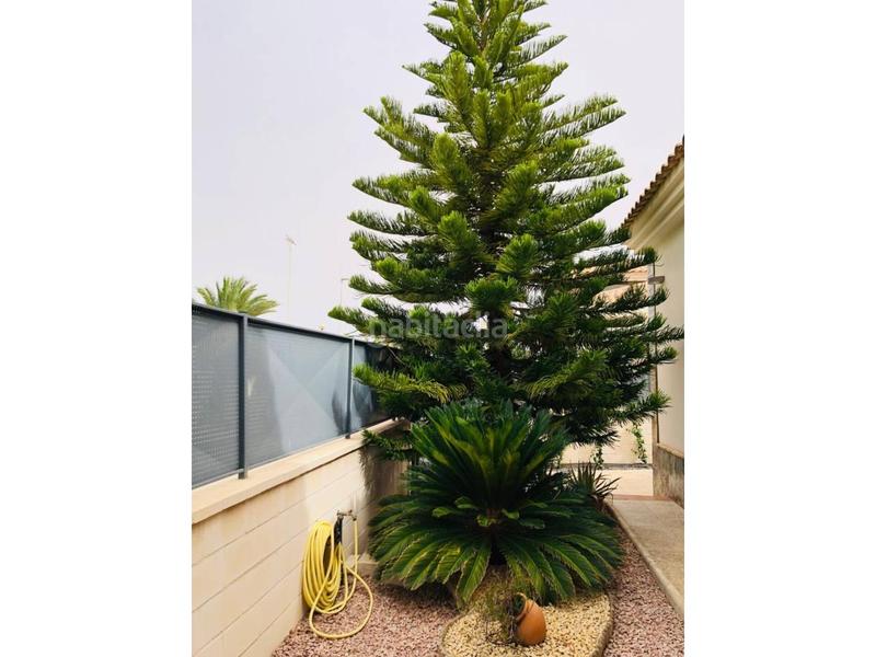 Foto 98c0ccd4-3d3e-4e0e-9e02-116abf585769. Chalet espectacular chalet en Pedanías Oeste Aspe