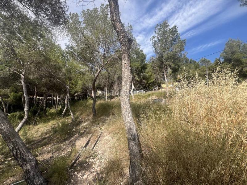 Foto d74dc1da-6fc0-4de2-ade2-13b244427ddb. Propriété dans Tibi