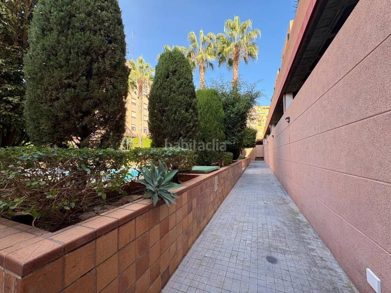 Foto 716b27f1-6f72-4fea-bd26-9f7bb38f537c. Appartamento con riscaldamento piscina in Garbinet - Parque de las Avenidas Alicante