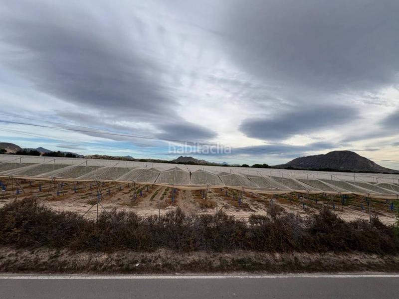 Foto f120c327-ff4b-4248-8707-6218bebe6ead. Bauernhof mit parking in Rebolledo Alicante