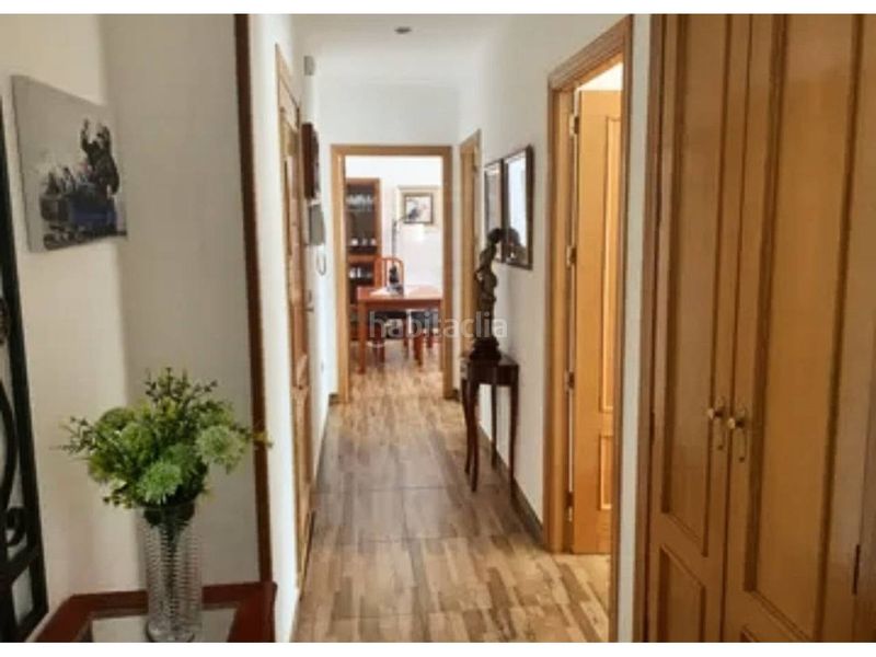 Foto 8f884a5c-9d42-43ca-8046-b89a45be42a9. Pis a Onil