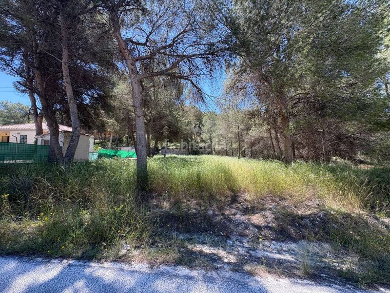 Foto bf705be9-020b-4156-88b1-f8ecdfea74f3. Terreny residencial a Tibi