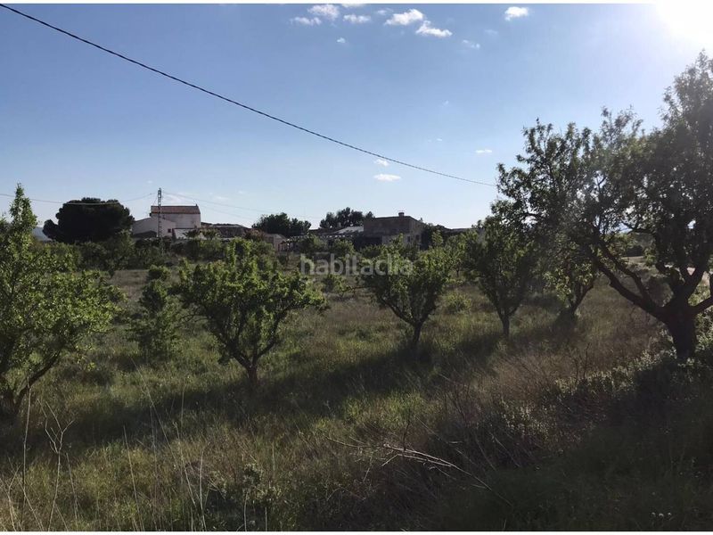 Foto a77f9e2b-b438-4c1c-a34a-cbfdcbe8102f. Masia amb aparcament piscina a Monòver