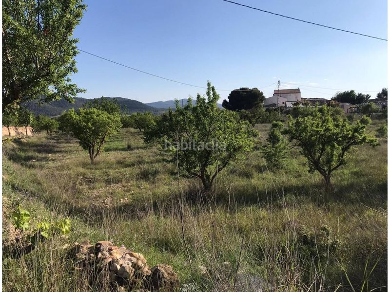 Foto b99980ea-2d0e-44e3-acbd-cb5ab75bbd7e. Masia amb aparcament piscina a Monòver