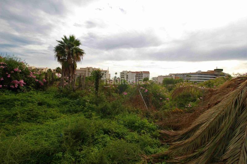 Foto 7103c60f-3b6a-4621-ba87-8218ae1604ad. Finca rústica a L´Olla Altea