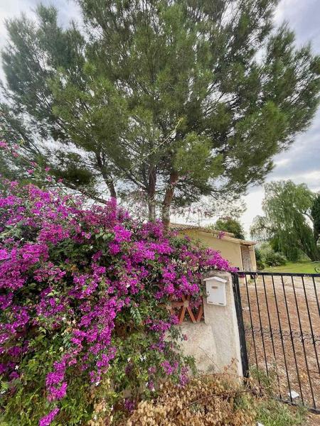 Foto d5fee7ad-3298-4379-9d3a-f78058afc216. Finca rústica a L´Olla Altea