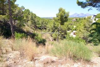 Residential Plot in Altea la Vella. Parcela urbana paradiso