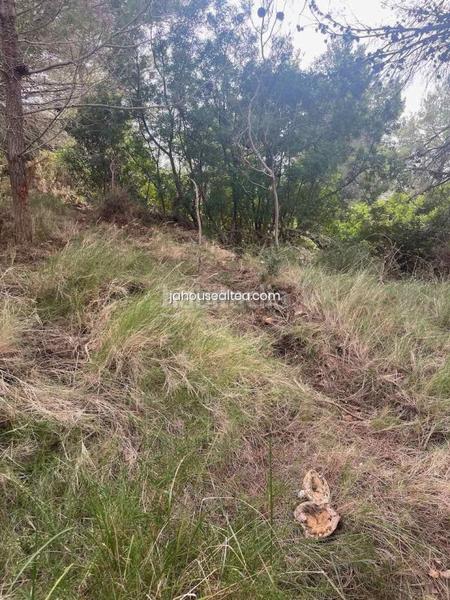 Foto 02b4d181-d8ec-43d3-8bc5-59bce9e25afa. Wohngrundstück in Altea la vella Altea