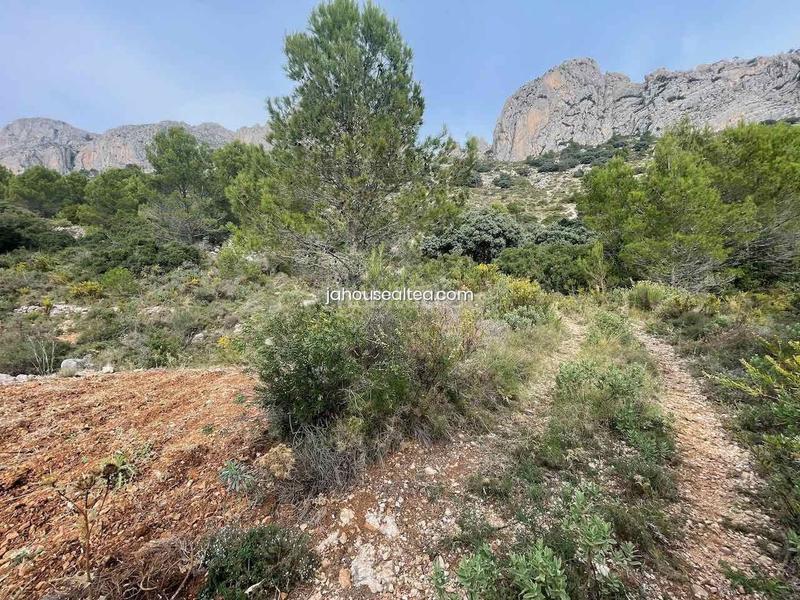 Foto 20c99996-8c01-4e73-85e7-4a14d6ea7d75. Wohngrundstück in Altea la vella Altea