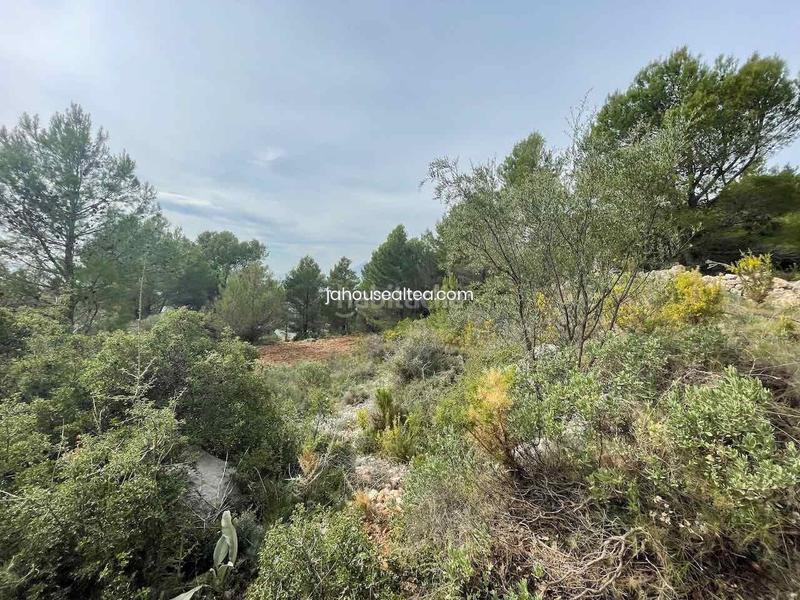 Foto cf468302-46c5-4246-8efa-71daf8a82950. Wohngrundstück in Altea la vella Altea