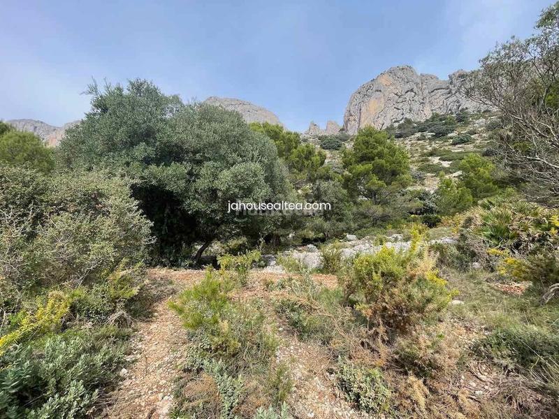 Foto fe510708-8323-49ad-adc6-d990a65e0430. Wohngrundstück in Altea la vella Altea
