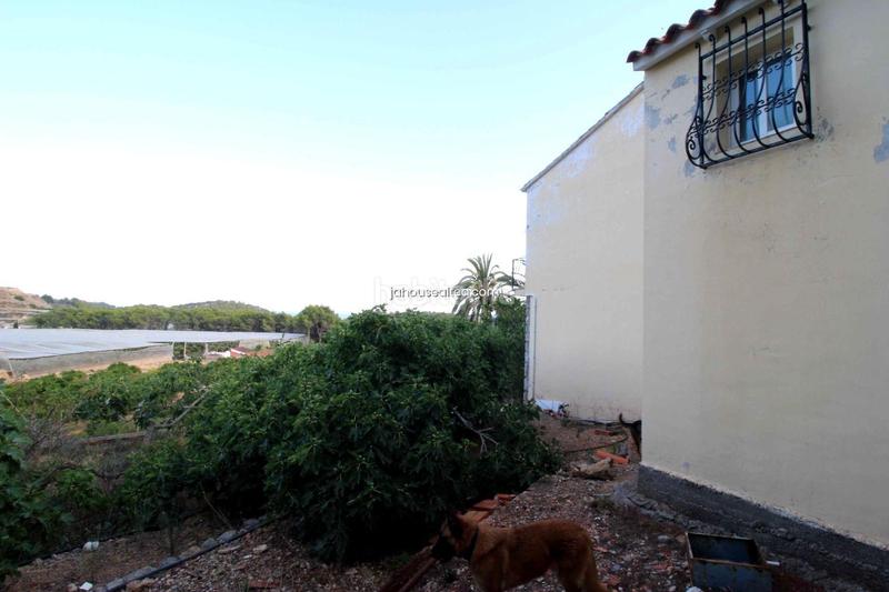 Foto d7ab56c0-d41d-4818-b4e4-b675ff9c44f4. Finca rústica a Altea la vella Altea