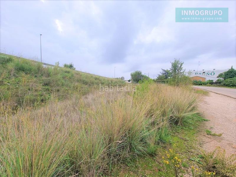 Foto 6e6e68c9-c7d3-46a5-b429-c440de2fe5f1. Terreny residencial a Alcalà de Xivert