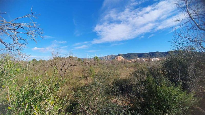 Foto 520650cb-f78f-481b-b251-a9001c2a873a. Terrain résidentiel dans Alcalà de Xivert