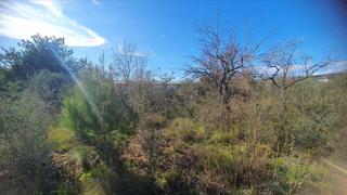 Terrain résidentiel  Alcalà de xivert - san mateo. Suelo urbanizable en venta