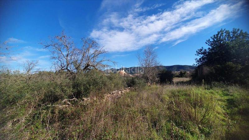 Foto d0de1217-1178-43c4-b0bc-adf27c3a2015. Terrain résidentiel dans Alcalà de Xivert