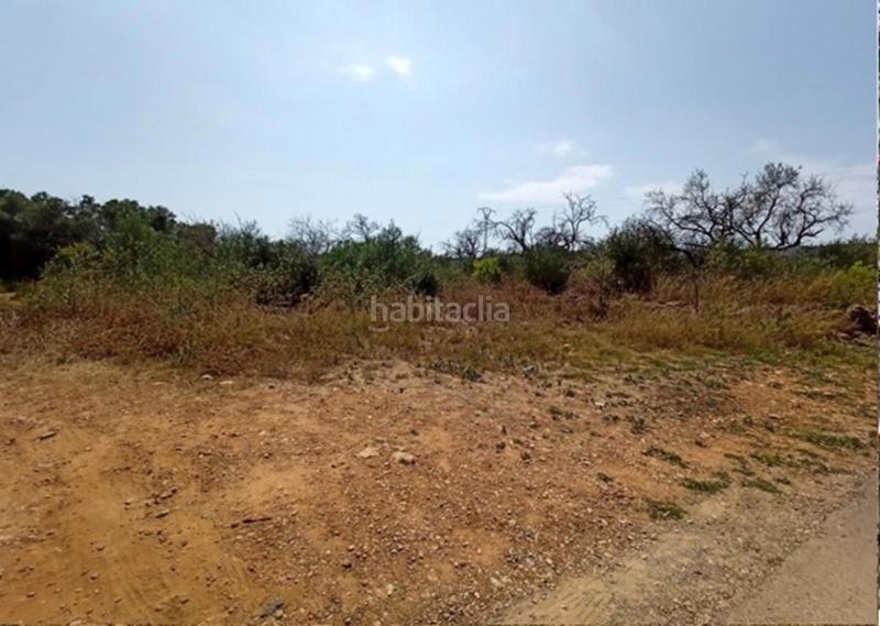 Foto c63e5524-622c-4cc3-a39a-0646e80e0899. Terrain résidentiel dans Alcalà de Xivert