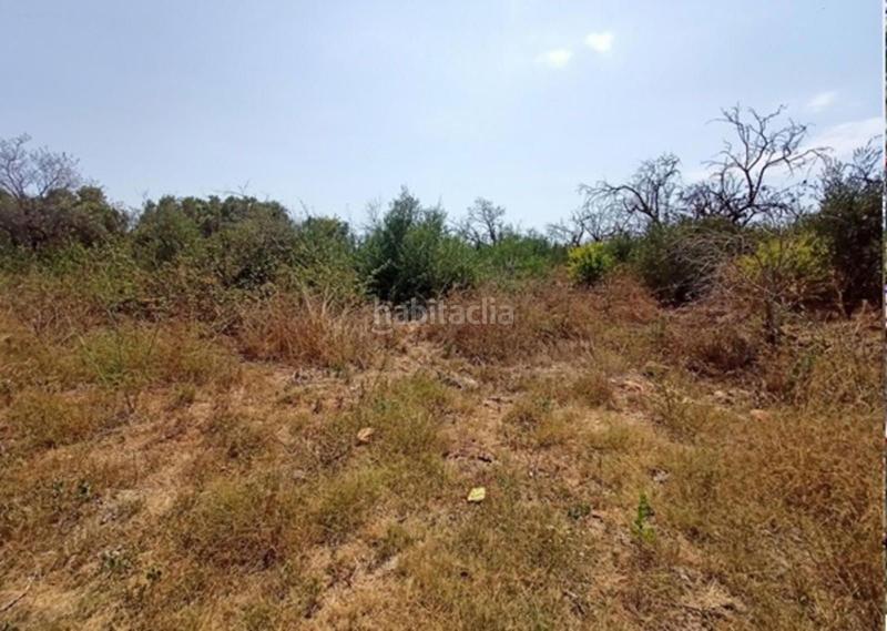 Foto fcdb96db-3d4c-4946-9357-fdbad5536504. Terrain résidentiel dans Alcalà de Xivert