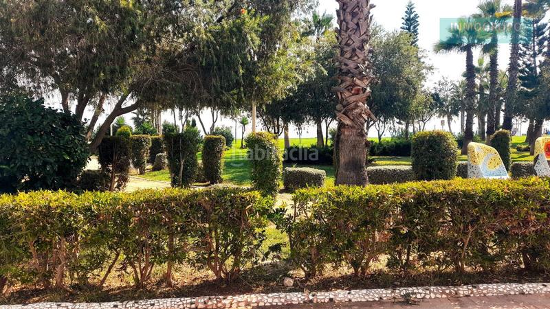 Foto 2116e522-f504-404e-a61e-cc2a64554913. Appartamento con riscaldamento parcheggio piscina in Oropesa del Mar