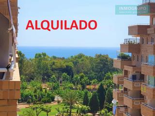 Pis a Oropesa del mar-orpesa - av central 46. Apartamento en venta en rentabilidad en costa azahar ii