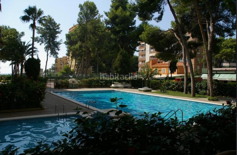 Foto ac4b80dc-7783-4d0e-be07-e751d3c0e275. Etagenwohnung in benicasim-benicàssim - conde bau 28 in Benicasim / Benicàssim