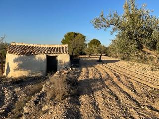 Finca rústica a Biar. Parcela urbana