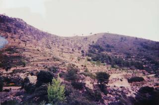 Propriété à Torre de les Maçanes (la)