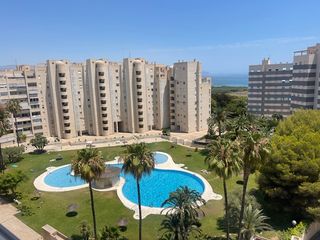 Rent Apartment  Camí de fondo