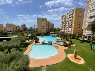 Lloguer Pis  Avinguda de les nacions