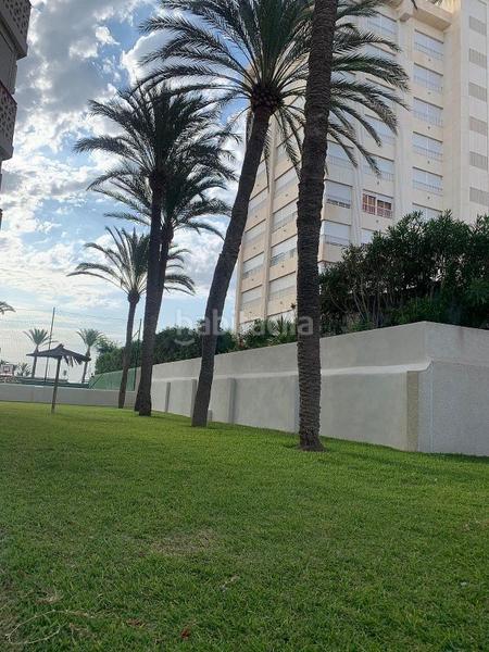 Foto 324ee703-51be-42be-b6d9-d686415e24cf. Rent flat with pool in Playa de San Juan Alicante