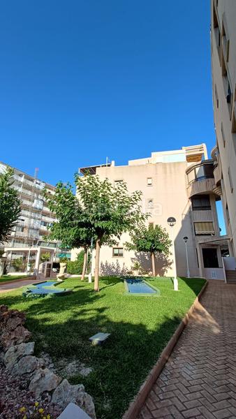 Foto 1ce7d642-d427-44c8-b0e1-c88d7e0243ed. Alquiler piso en Playa Muchavista Campello (el)