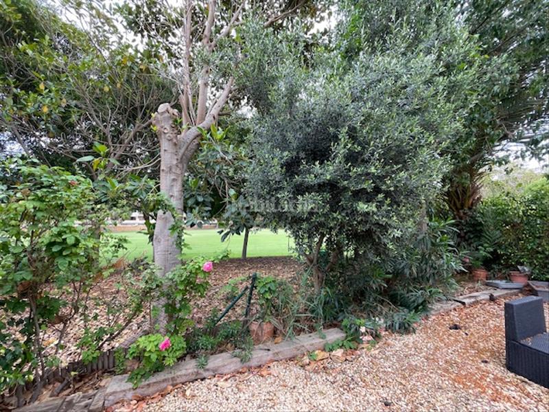 Foto 30186477-868b-4a2d-a514-1819cca3b626. Rent ground floor with heating parking pool in Alicante golf Alicante