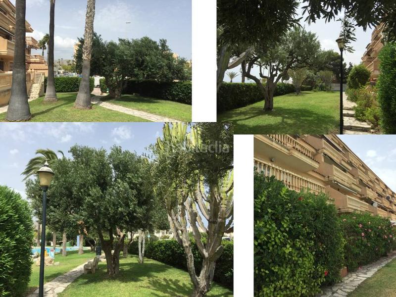 Foto 6057d4c0-2444-4651-8210-8abfaa9724df. Appartamento con parcheggio piscina in Campello Playa Campello (el)