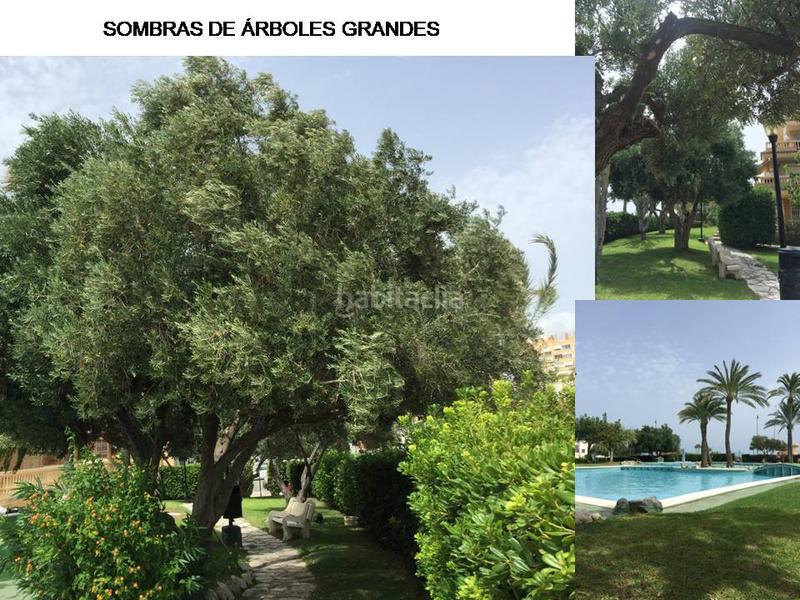 Foto 3286725a-6cf1-4e2c-9270-5f23e5219aac. Flat with parking pool in Campello Playa Campello (el)