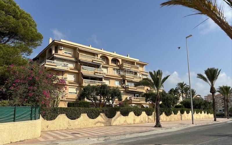 Foto b3ac7feb-db4e-4d34-a49e-9e547e8dc200. Flat with parking pool in Campello Playa Campello (el)