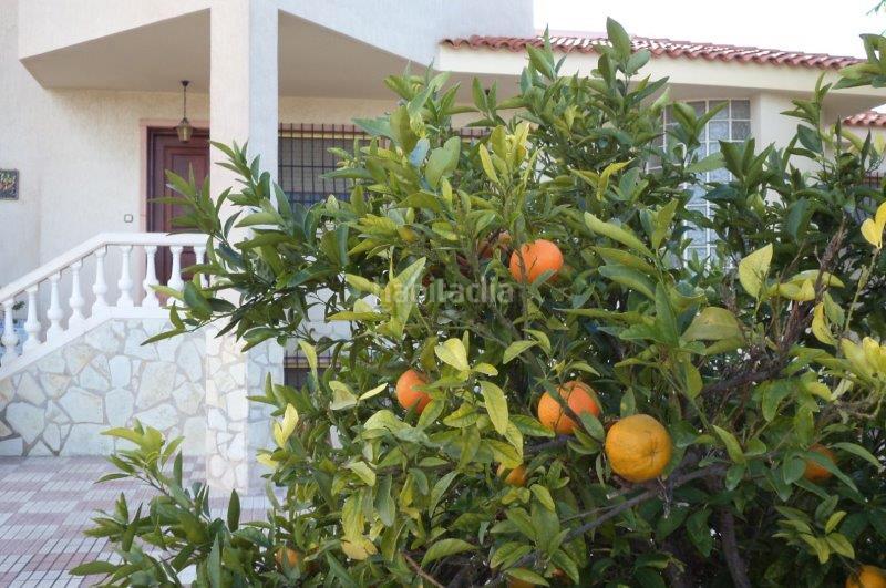 Foto 72df154c-bf53-46f3-a861-70419a448d56. Chalet en Almajada-Ravel Mutxamel