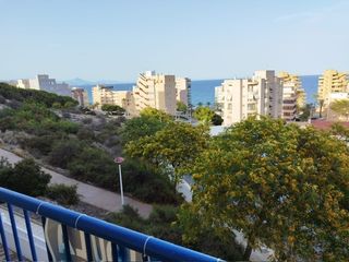 Lloguer Pis  Avenida costa blanca