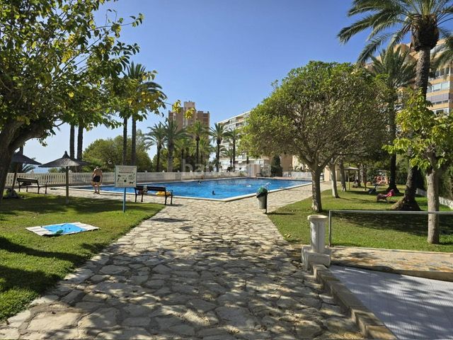 Foto dc2da883-5b60-445f-b12c-73763eadccba. Pis amb aparcament piscina a Playa Muchavista Campello (el)