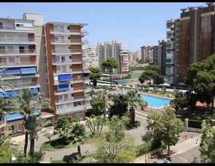 Location Appartement  Avenida bruselas