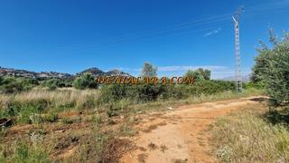 Finca rústica a La Xara-La Sella. Se vende parcela de 11750 metros